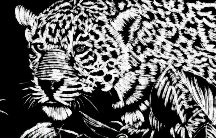 Cyril-Dosnon-Santa-Muerte-Projet-3